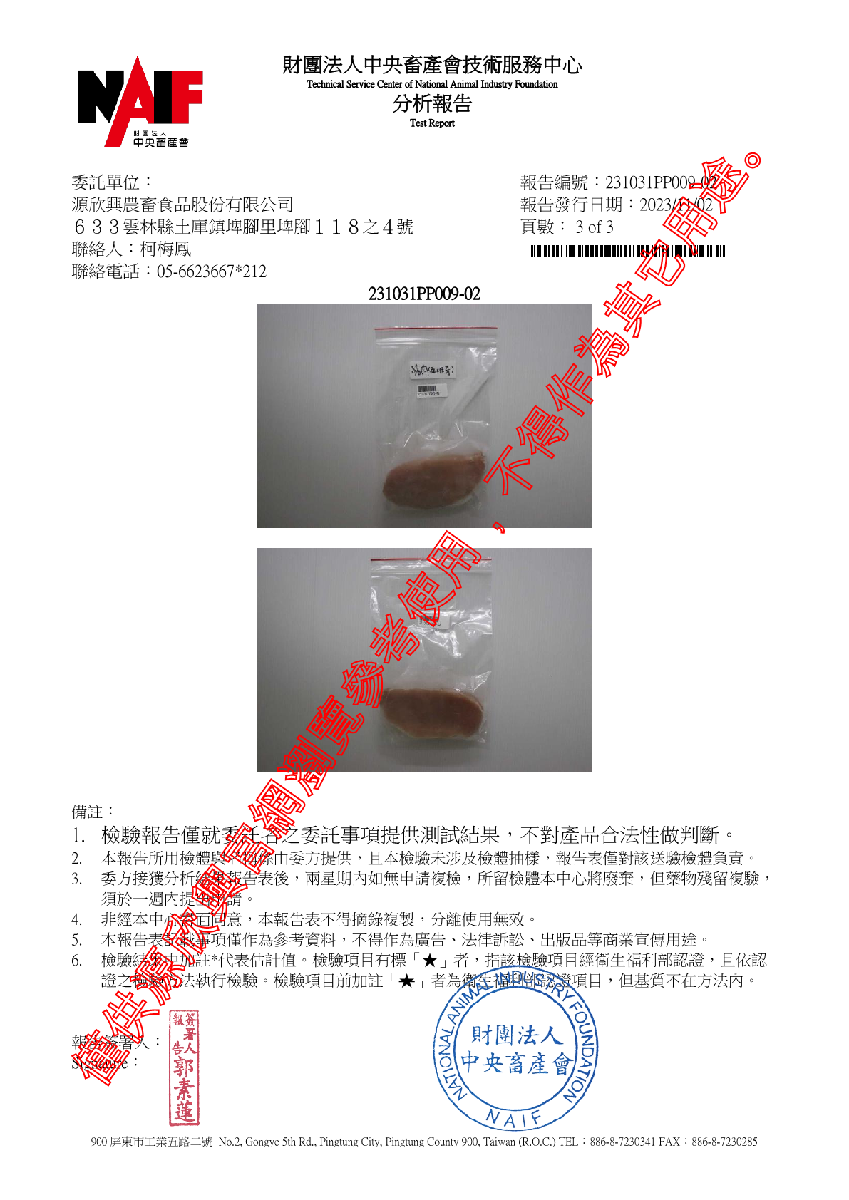 20231102 西班牙豬肉 動48 13