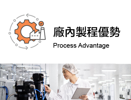 廠內製程優勢